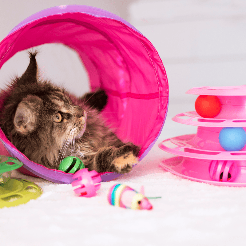 Dogman Leksak Tunnel