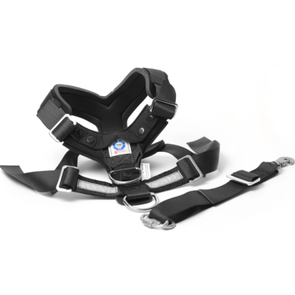 Allsafe Harness Bilsele