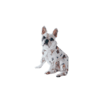 Sov & Myskläder till hund
