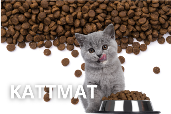 Kattmat