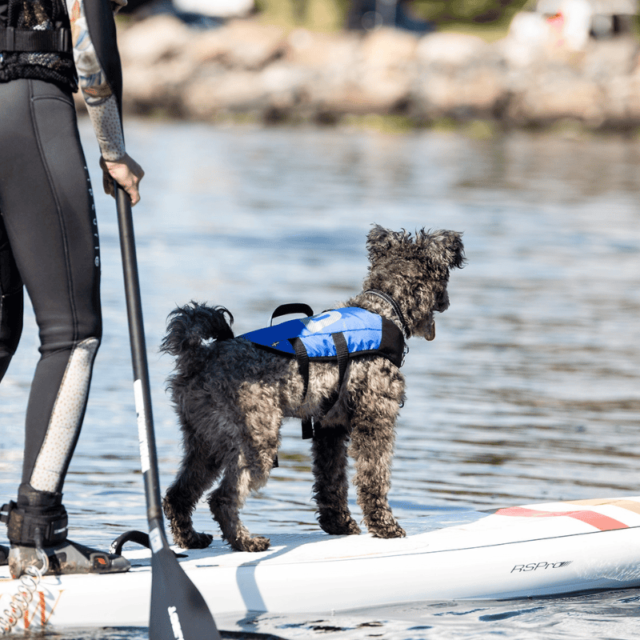 Splash Hundflytväst - Bild 2