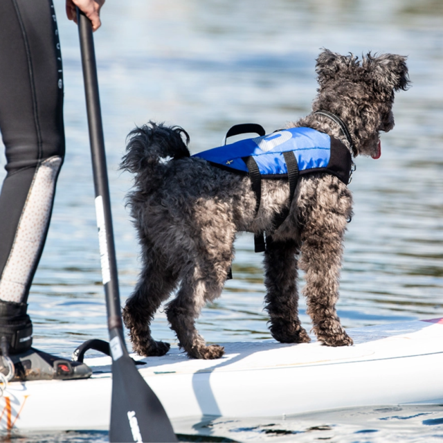 Splash Hundflytväst Baltic