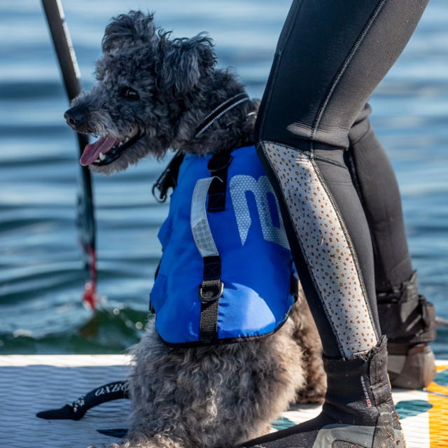 Splash Hundflytväst Blå