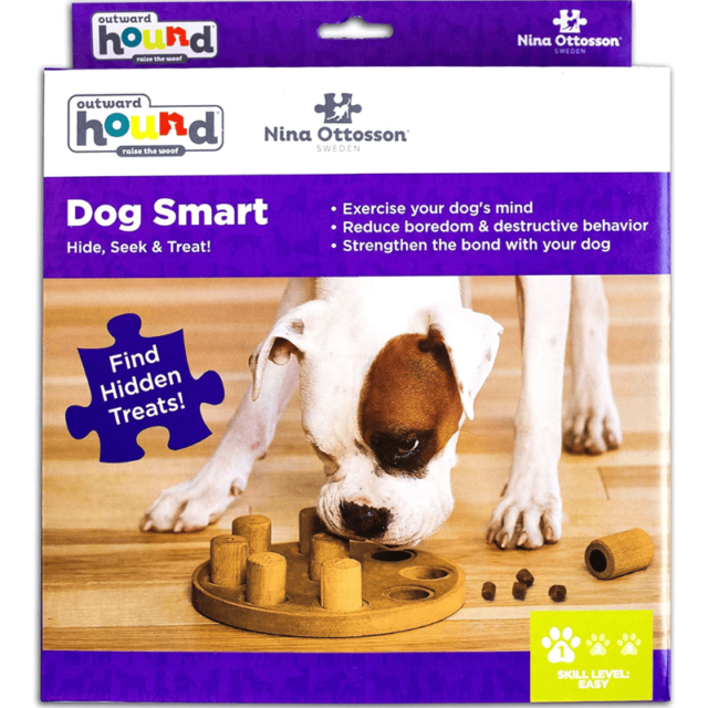 Aktiveringsleksak Smart 1