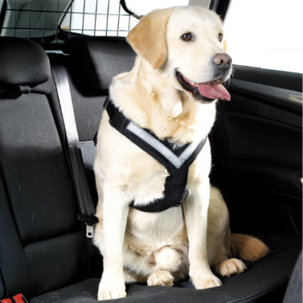 MIMSafe Allsafe Harness Svart